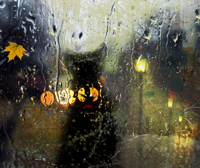 Картинки дождь на стекле (86 фото)
