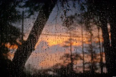Улица дождь фон за окном автомобиля Обои Изображение для бесплатной  загрузки - Pngtree