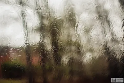 а за окном, то снег... то дождь.... Photographer Lyubov Selivanova