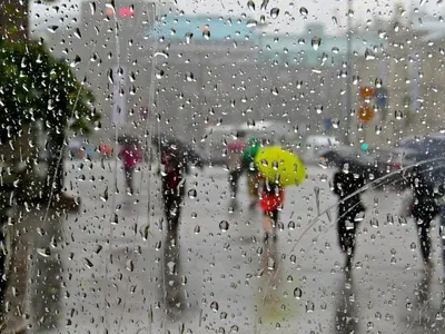 Дождь за окном,ветер» — создано в Шедевруме