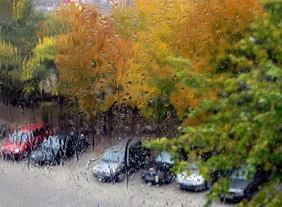 Дождь за окном... :: Наталья – Социальная сеть ФотоКто