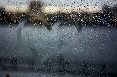 Дождь за окном | Пикабу
