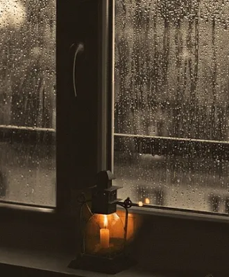 дождь за окном :: Виктория – Социальная сеть ФотоКто