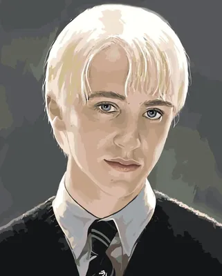 Ростовая фигура Драко Малфой (Draco Malfoy) вид 7 (450х1800 мм) - купить по  выгодной цене | Магазин шаблонов Принт100