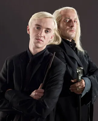 Ростовая фигура Драко Малфой (Draco Malfoy) вид 4 (660х1670мм) - купить по  выгодной цене | Магазин шаблонов Принт100