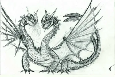 Картинки драконов для срисовки легкие и красивые и милые (22 шт)