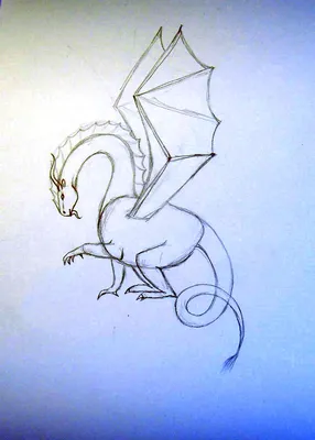 Рисунки дракона на Новый год 2024: как нарисовать самостоятельно