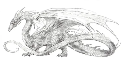 Рисунки Драконов для срисовки: 100 идей - простых, легких, красивых