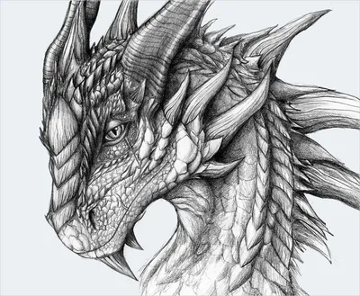 Рисунки драконов - 39 фото
