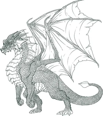 Рисунки драконов для срисовки (75 фото)