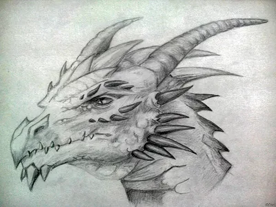 Картинки драконов для срисовки карандашом (57 фото)