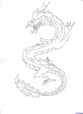 Рисунки дракона карандашом (32 фото)
