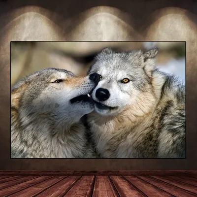 2 волка в пуще стоковое изображение. изображение насчитывающей  млекопитающее - 53024953