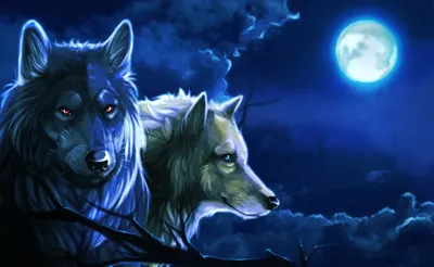 Минувшей ночью в посёлке Ис снова были замечены два волка - ВЕДОМОСТИ Урал  - Новости Екатеринбурга и Свердловской