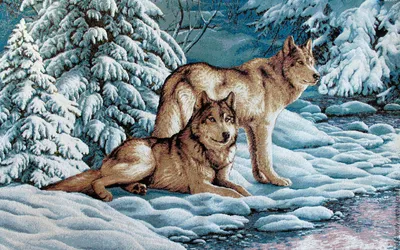 Притча: Два Волка | Два волка, Волк