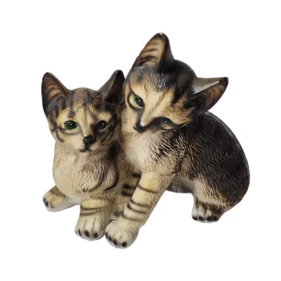 две кошки спят в объятиях в корзине Стоковое Изображение - изображение  насчитывающей сон, мягко: 238339931