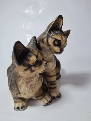 две кошки смотрят друг на друга в непосредственной близости, картинка укуса  кошки фон картинки и Фото для бесплатной загрузки