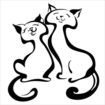 Как уживаются две кошки? — Сообщество «Зверьё Моё» на DRIVE2