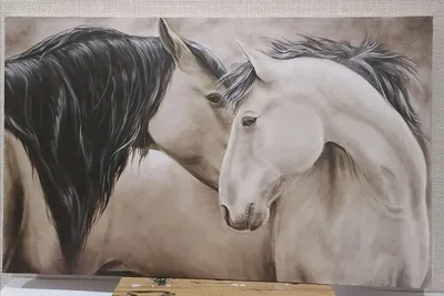 две лошади стоят рядом, картинки паломино лошади фон картинки и Фото для  бесплатной загрузки