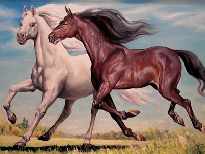 Две лошади (картина) — Паулюс Поттер