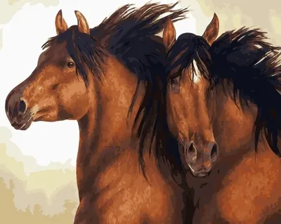 Картина маслом на холсте Две лошади белые в интернет-магазине Ярмарка  Мастеров по цене 11050 ₽ – NZ1PYRU | Картины, Тихорецк - доставка по России