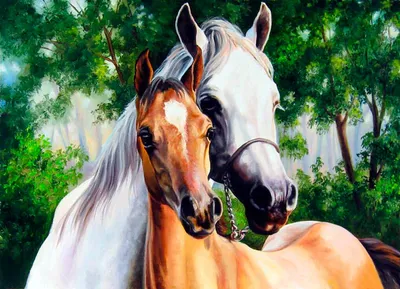 Фото лошадь два Животные