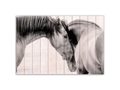 две лошади стоят возле высокой травы, картинка чалых лошадей, лошадь,  животное фон картинки и Фото для бесплатной загрузки