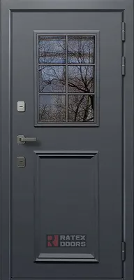 Межкомнатная Дверь Входная дверь Дверь Галактика-173/PR- 35 всего за 36 000  руб.l dveri-vdom.ru