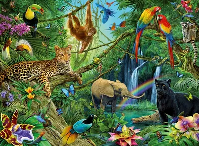 Картинки джунгли животные