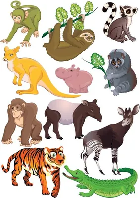 Иллюстрация Животные джунглей в стиле 2d | Illustrators.ru