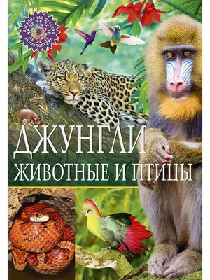Фигурки большие \"Животные джунглей\" LER0693 в Москве|CLEVER-TOY.RU