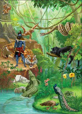 Животные обитающие в джунглях - 72 фото