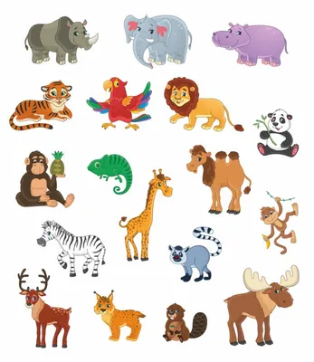 Иллюстрация 1 из 40 для Джунгли. Животные и птицы | Лабиринт - книги.  Источник: Лабиринт