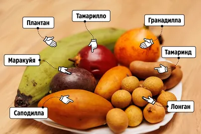 5 самых популярных экзотических фруктов - Экзотические фрукты Манго Лавка – Экзотические  фрукты Mango Лавка Санкт-Петербург