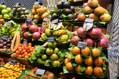 Картина Экзотические фрукты купить | Arthousefoto