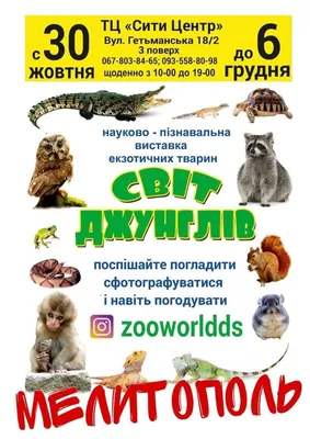 Выставка экзотических животных \"Мир джунглей\", Мелитополь | отзывы