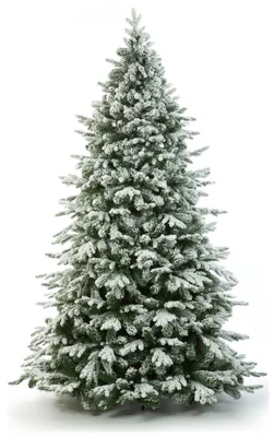 Картинки зима, елки, снег, красиво - обои 1600x900, картинка №158851