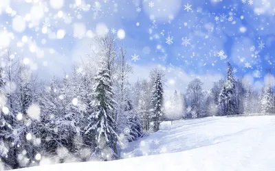 Купити Елка LUX 220 см (пленка) в снегу з доставкою | HVOYA в Україні