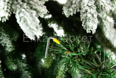 Обои зима, елки, снег, деревья на рабочий стол