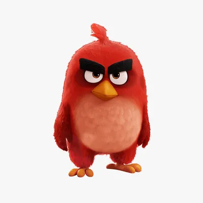 Angry Birds Red 3D модель in FBX, OBJ, MAX, 3DS, C4D - 3DModels.org