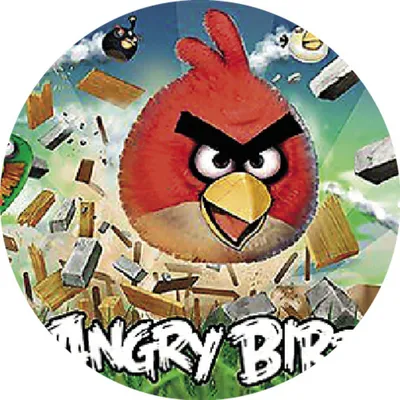 Игра \"Сердитые птички космос\" на меткость Angry Birds Tech4Kids. Купить -  Интернет-магазин \"Игрушка с доставкой\" Санкт-Петербург.Цена