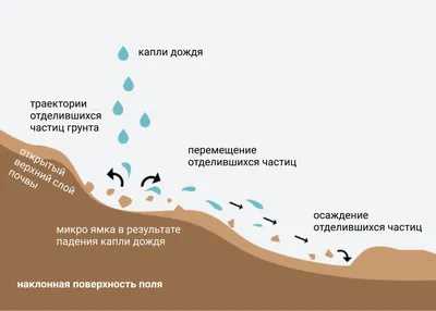 Эрозия пищевода: причины возникновения, симптомы, диагностика и лечение