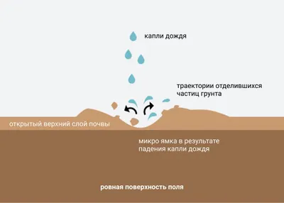 Эрозия шейки матки: причины, диагностика и методы лечения