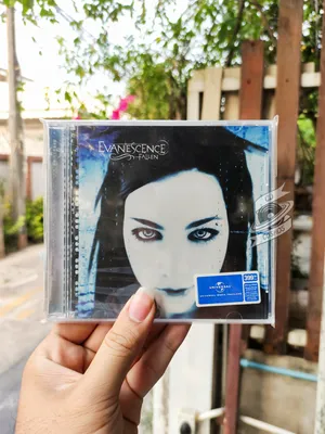 Evanescence's Amy Lee Gets Back to Life
