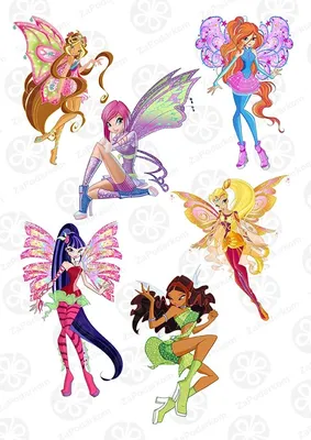 Старшие феи WINX | pink world | Дзен