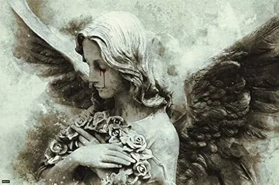 Original fantasy angel wings magic feather male wallpaper | 1600x921 |  618113 | WallpaperUP