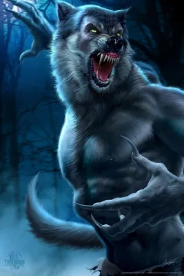 Night Wolf #1-5: Urban Fantasy Werewolf Coming-of-Age Drama by Robert A.  Multari — Kickstarter