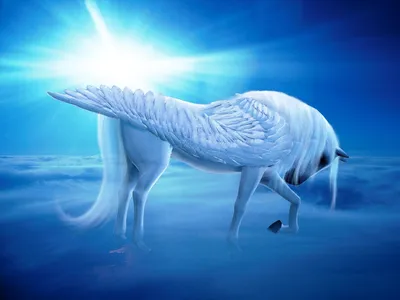 Картинка Единороги Фантастика Волшебные животные