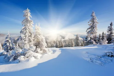 картинки : Февраль, зима, лес, Торрент, пейзаж, снег, дерево, легкий,  белый, природа, мороз, Биль, Замороженный, не холодно, река, солнечно,  Морозильные камеры, Ледниковый 4288x2848 - - 1370003 - красивые картинки -  PxHere