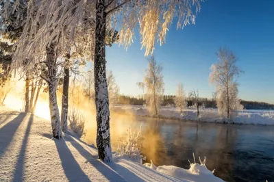 Февраль Россия природа ветер снег» — создано в Шедевруме